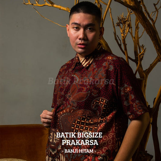 Batik Big Size Pria Prakarsa Premium Classic Lengan Pendek - PD04